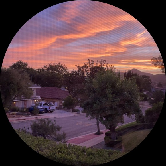 Profile Picture of Cal Taggart (@cal_taggart) on Poshmark