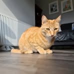 Profile Picture of Serenity Bella (@Serenity-Bella) on Facebook