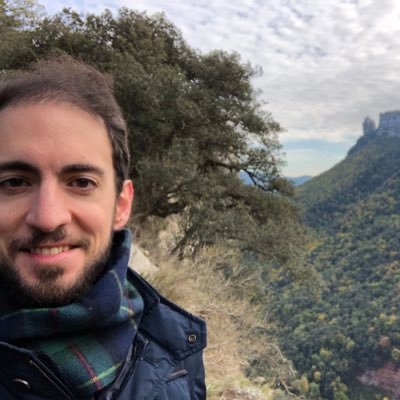 Profile Picture of Rui Ferreira De Vasconcelos Carvalho (@RuiFerreiradeV2) on Twitter