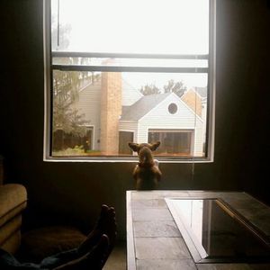 Profile Picture of Dawn Myers (@chele7281) on Myspace