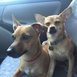 Profile Picture of Kim Peak (@kevandlar) on Instagram