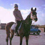 Profile Picture of Nicky Watson (@love_of_ponies_) on Instagram