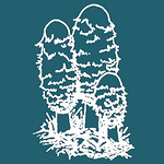 Profile Picture of Pilzverein Laufental-thierstein (@pilzverein laufental-thierstein) on Flickr