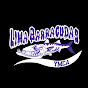 Profile Picture of Lima Barracuda Swim Team (@PAC) on Tiktok