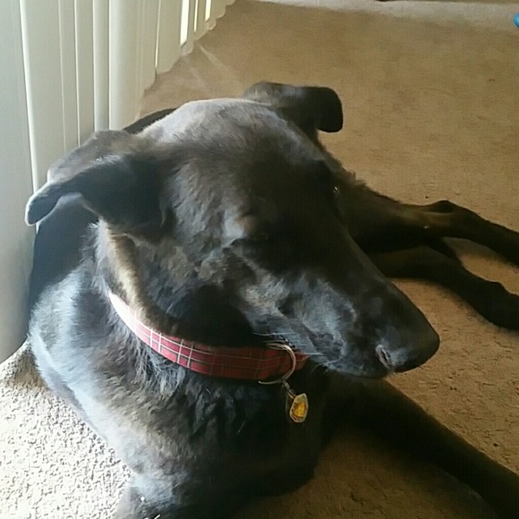 Profile Picture of Sean Nichol (@snichol88) on Poshmark