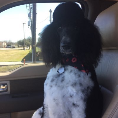 Profile Picture of Sugar-T (@ShugartT) on Twitter