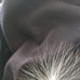 Profile Picture of Armin Ansari (@armin.ansari.161) on Facebook