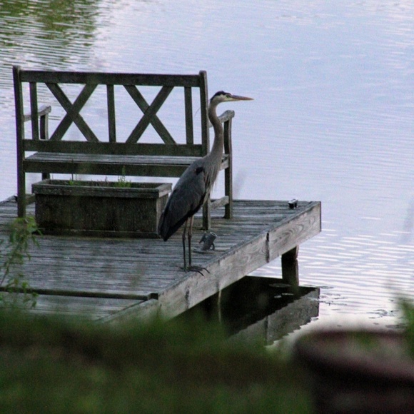 Profile Picture of Joshua Hoggard (@josh_hogg03) on Poshmark