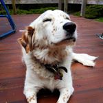 Profile Picture of Benjamin Dugger (@benjamindugger) on Instagram