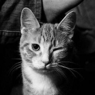 Profile Picture of Maxim Kuznetsov (@MaxonKuznetsov) on Twitter