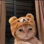 Profile Picture of DaNny Bass (@fucking_warwick) on Instagram