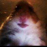 Profile Picture of Alexander (@alexander.bykowski) on Instagram