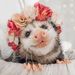 Profile Picture of Robin Pruitt (@rpruitt717) on Pinterest