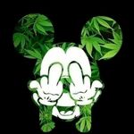 Profile Picture of Evan Small (@yung_warya_725) on Instagram