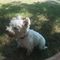 Profile Picture of Steve Meader (@Steve-Meader) on Facebook