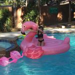 Profile Picture of isabella cheyene curtis (@isabellacheyene) on Instagram