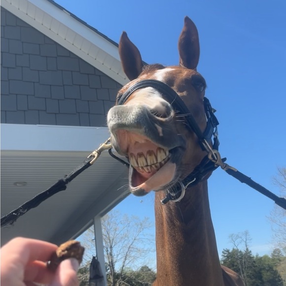 Profile Picture of Cate Lowham (@_tunder_) on Poshmark