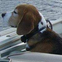Profile Picture of Debbie Sheets (@debbie-sheets-3) on Quora