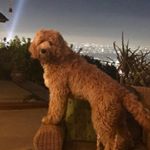 Profile Picture of Maureen Thorp (@thorpmaureen) on Instagram