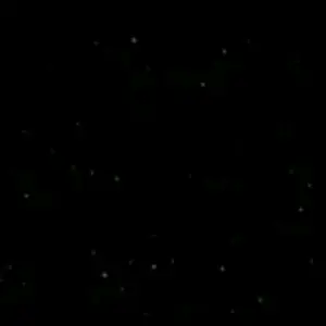 Profile Picture of Dra Gu Larry (@dragular2) on Tiktok