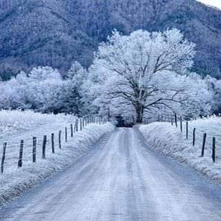 Profile Picture of Tina Levins (@tina.leavens.52) on Facebook