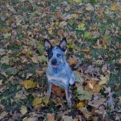 Profile Picture of Scott Paton (@scottpaton40) on Twitter