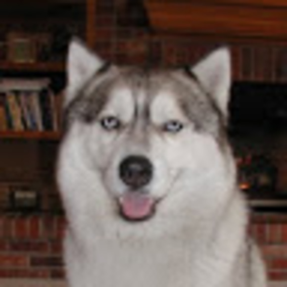 Profile Picture of Aaron Engel (@aaronjengel) on Poshmark