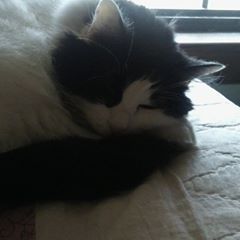 Profile Picture of Jeff West (@@jeffwest42) on Tiktok