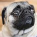 Profile Picture of Brett Fieldston (@bfieldston) on Pinterest