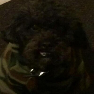 Profile Picture of Dustin Hyatt (@dhigh22) on Twitter