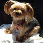 Profile Picture of Loetta Earnest (@earnest.living) on Instagram