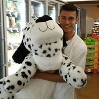 Profile Picture of Brandon Sanchez (@brandon-sanchez-69) on Quora