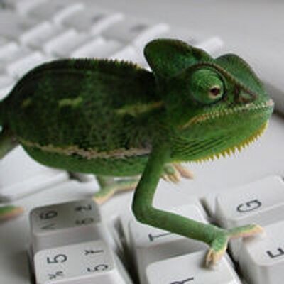 Profile Picture of Debra Poole (@DebraPoole16) on Twitter