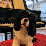 Profile Picture of Joie Ruth Walters Cannon (@joieruthcannon) on Instagram