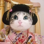 Profile Picture of Maoni Stephens (@MaoniStephens) on Youtube