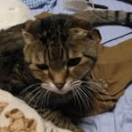 Profile Picture of 福田君美枝 (@福田君美枝) on Facebook