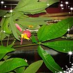 Profile Picture of Sherri Daniels (@sherri.daniels.902) on Instagram