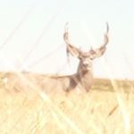 Profile Picture of Travis walter (@travis_walter__) on Instagram