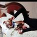 Profile Picture of Apryl Reed (@apryl.reed.35) on Facebook