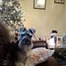 Profile Picture of Gwen Crawford (@gwen.crawford.37) on Facebook