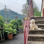 Profile Picture of Kris Kras (@krista.kramer.3) on Instagram