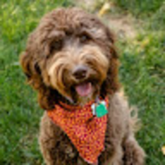 Chase Erwin - Poshmark Profile Picture of Chase Erwin (@chaerwin) on Poshmark