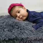 Profile Picture of mike  tolentino (@ronald201737) on Instagram