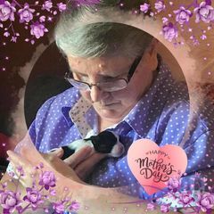Profile Picture of phyllisholm (@phyllisholm) on Tiktok