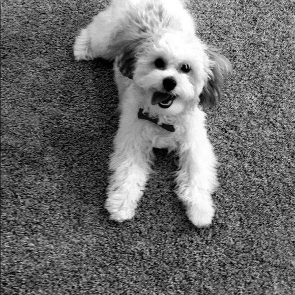 Profile Picture of Katelynn Hanson (@katiehanson_123) on Poshmark