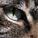 Profile Picture of Jennifer And Jason Sawyer (@jennifer and jason sawyer) on Flickr