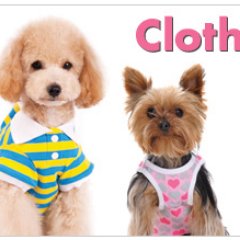 Profile Picture of Richard C. Tiller (@richardctiller) on Twitter