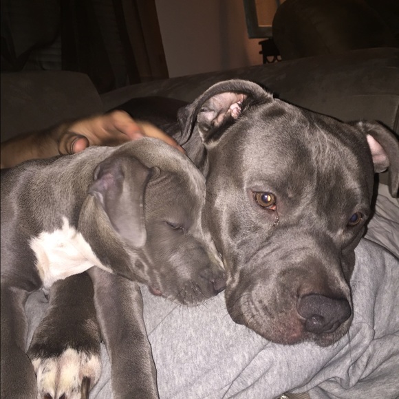 Profile Picture of Jake Snow (@jakesnow) on Poshmark