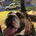 Profile Picture of Emilio Lazcano (@lazcano_m6) on Instagram