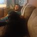 Profile Picture of Chris Marshall (@chris.marshall.7712) on Facebook